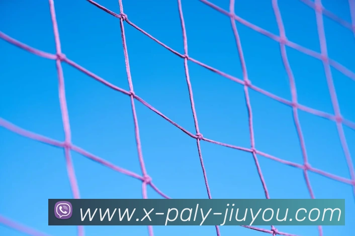 九游体育app品牌故事