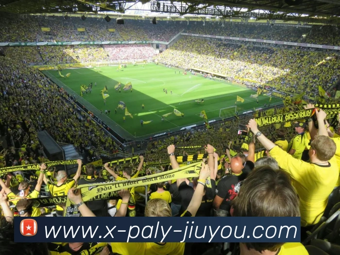 多媒体互动体验